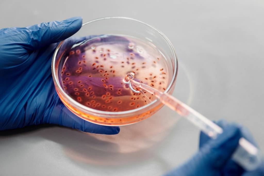 Immunothérapie et maladies infectieuses : quelles possibilités ?
